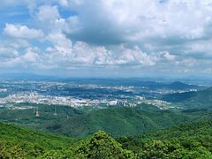 -东莞市大岭山森林公园
