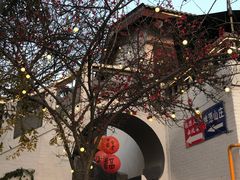 -桃源山庄·水蜜桃采摘·柴火鸡·烧烤团建(龙泉山店)