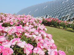 -上海辰山植物园