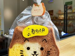 -黄金海岸水上乐园