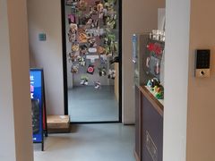 -Punchline Coffee&Roaster(同济大学店)