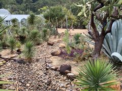 -深圳仙湖植物园