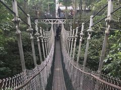 -新加坡飞禽公园