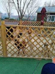 -萌宠亲子动物乐园(槐房万达店)