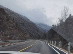 -卧龙自然保护区