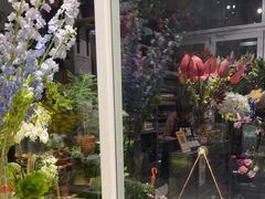 -FEI FEI FLOWER鲜花店·气球派对·宝宝宴布置(虹口德必运动Loft店)