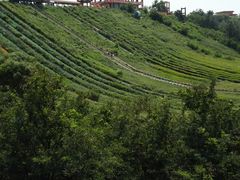 滑草-南戴河国际娱乐中心