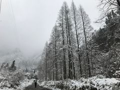 -钟鼎寺