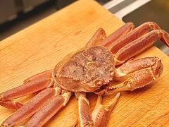 -鳥喜Toriki怀石烧鸟料理