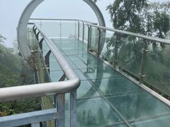 -长沙黑麋峰国家森林公园
