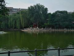 -莲湖公园