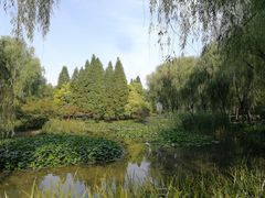 -洛阳市隋唐城遗址植物园