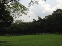 -中山大学学者灵芝(园南路店)