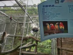 -东莞香市动物园