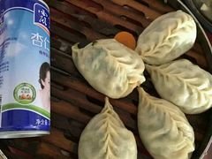 -小叶大馅饺子城