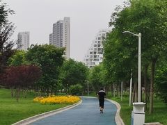 -金梦海湾浴场