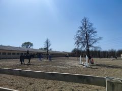-北京群众马术培训基地
