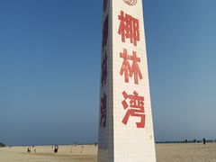 -东郊椰林