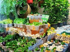 -亚马逊蒸汽活海鲜自助(LCM置汇旭辉广场店)