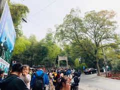 -紫金山索道-售票处