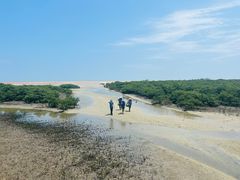 -北海金海湾红树林生态旅游区
