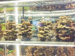 -大头椰·椰子鸡火锅(南宁万象城店)