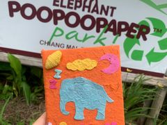 -大象粑粑造纸公园