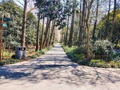 -上海滨江森林公园
