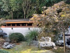 -久宴·天目湖大鱼头(恐龙园店)