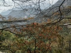 -九华山风景区