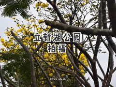 -立新湖公园