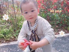 -新江湾城公园