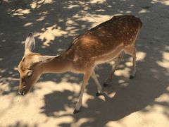-西安秦岭野生动物园