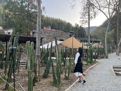 -MOJ coffee(瓯海泽雅水碓坑店)