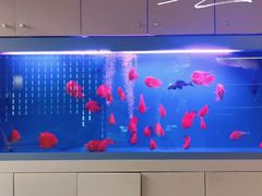 -宫七SPA·高端Massage(浦东大道店)