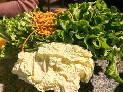 -云荷里·蒸汽石锅鱼·云南菜(中发百旺店)