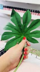 -scarlet斯卡莱美容护理机构