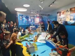 -瑞普利水族馆