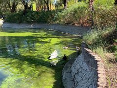 -石家庄市动物园