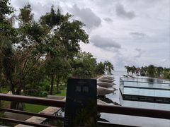 -亚龙湾喜来登·美景台大堂吧