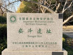 -上海崧泽遗址博物馆