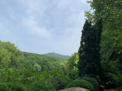 -棒棰岛宾馆景区