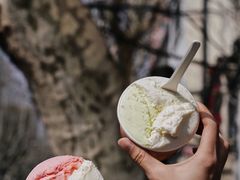 柠檬香蜂草稀奶油-Dip in Gelato(富民路店)