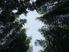 -黄公望隐居地