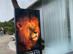 -罗红摄影艺术馆