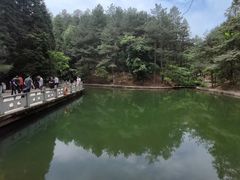 -四明山国家森林公园