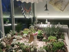 -春树下·树屋花房西餐厅(罍街AS1980店)