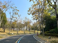 -牛岗山公园