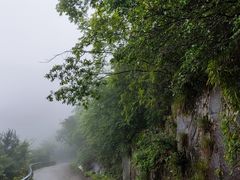 -东白山