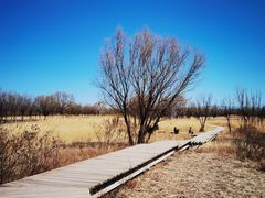 -野鸭湖国家湿地公园